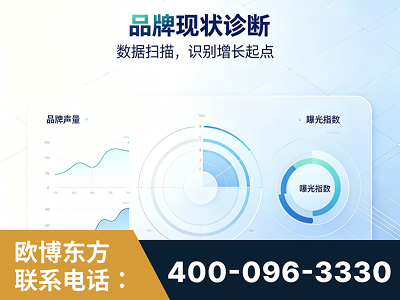眉山-品牌现状诊断
