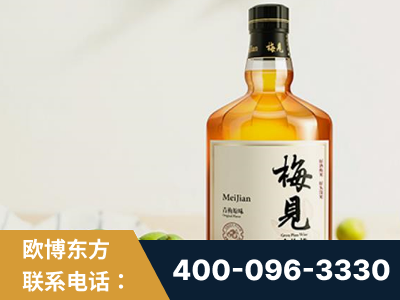 眉山-梅见青梅酒